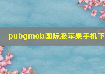 pubgmob国际服苹果手机下载