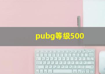 pubg等级500