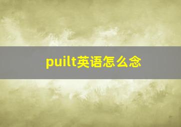 puilt英语怎么念