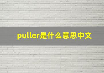 puller是什么意思中文