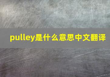 pulley是什么意思中文翻译