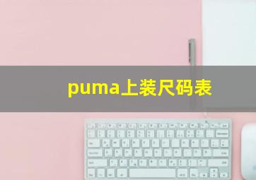 puma上装尺码表