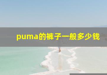 puma的裤子一般多少钱