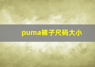 puma裤子尺码大小