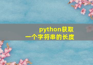 python获取一个字符串的长度