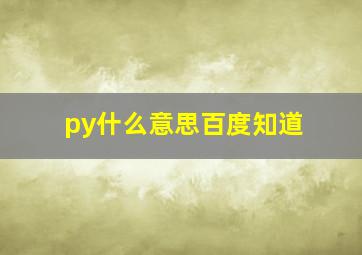 py什么意思百度知道