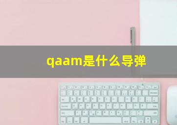 qaam是什么导弹