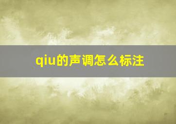 qiu的声调怎么标注