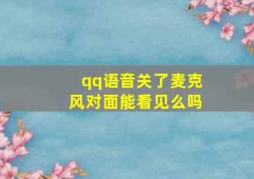 qq语音关了麦克风对面能看见么吗