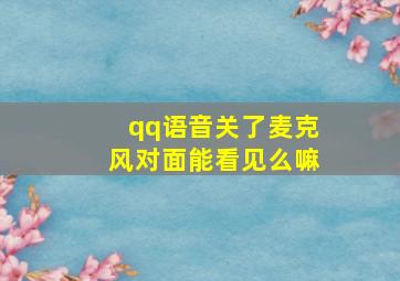 qq语音关了麦克风对面能看见么嘛