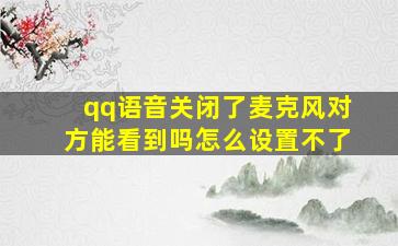 qq语音关闭了麦克风对方能看到吗怎么设置不了