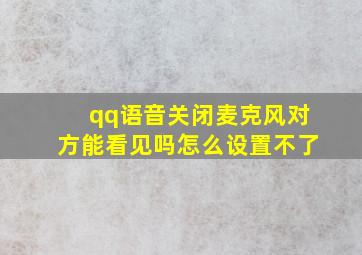 qq语音关闭麦克风对方能看见吗怎么设置不了