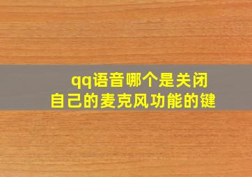 qq语音哪个是关闭自己的麦克风功能的键