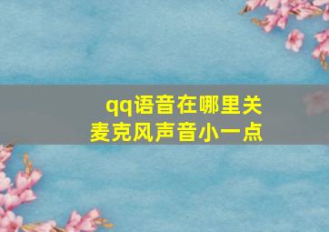 qq语音在哪里关麦克风声音小一点