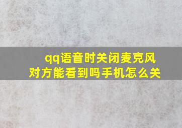 qq语音时关闭麦克风对方能看到吗手机怎么关