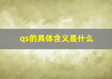 qs的具体含义是什么