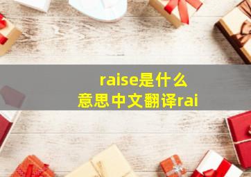 raise是什么意思中文翻译rai