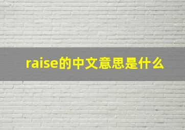 raise的中文意思是什么