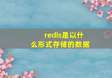 redis是以什么形式存储的数据