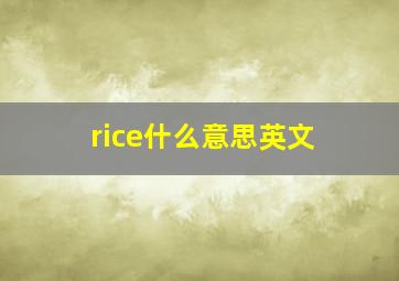 rice什么意思英文