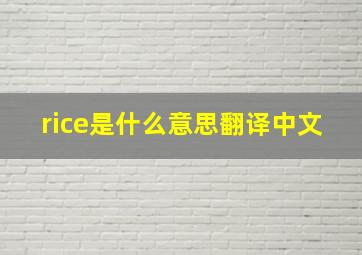 rice是什么意思翻译中文