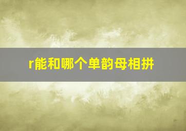 r能和哪个单韵母相拼