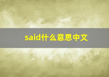 said什么意思中文