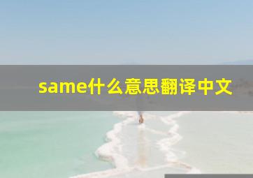 same什么意思翻译中文