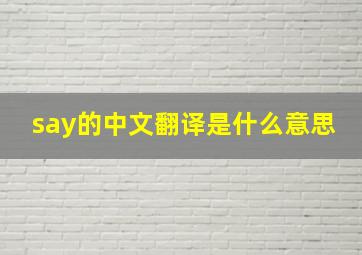 say的中文翻译是什么意思