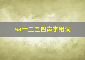 sa一二三四声字组词