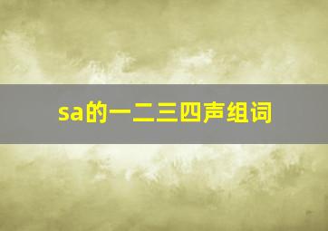 sa的一二三四声组词