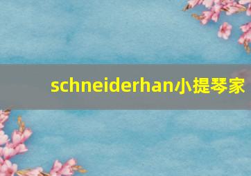 schneiderhan小提琴家