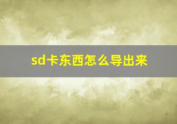 sd卡东西怎么导出来