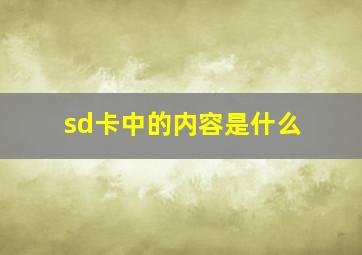 sd卡中的内容是什么