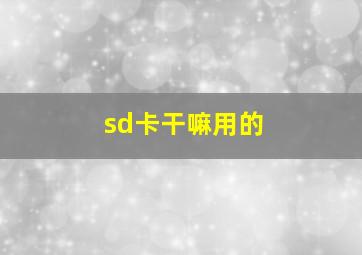 sd卡干嘛用的