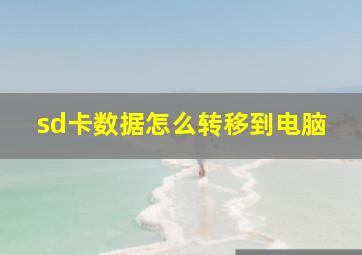 sd卡数据怎么转移到电脑