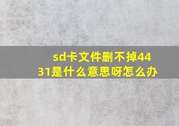 sd卡文件删不掉4431是什么意思呀怎么办