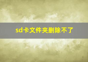 sd卡文件夹删除不了