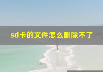 sd卡的文件怎么删除不了