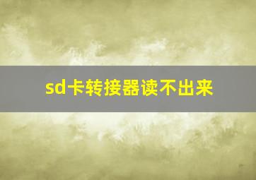 sd卡转接器读不出来