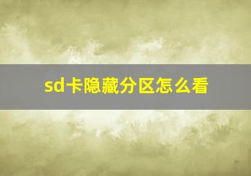 sd卡隐藏分区怎么看