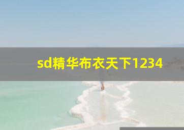 sd精华布衣天下1234