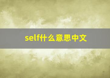 self什么意思中文