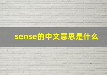 sense的中文意思是什么