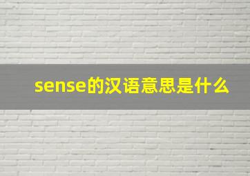 sense的汉语意思是什么