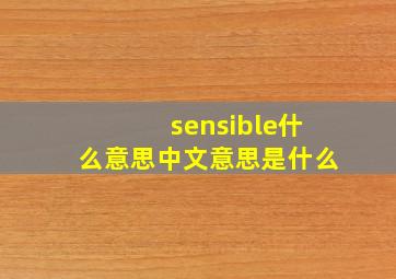 sensible什么意思中文意思是什么