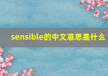 sensible的中文意思是什么