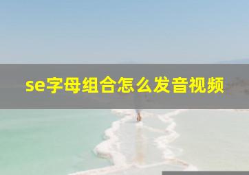 se字母组合怎么发音视频