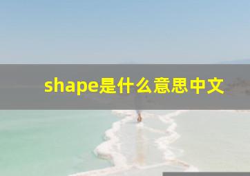 shape是什么意思中文