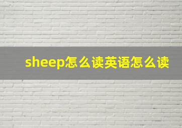 sheep怎么读英语怎么读